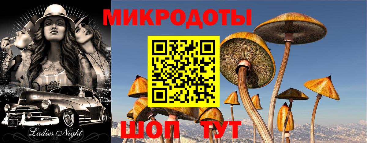 Ивантеевка  Псилоцибиновые грибы MAGIC MUSHROOMS  наркошоп  Галлюциногенные грибы мухоморы  Вход с VPN 