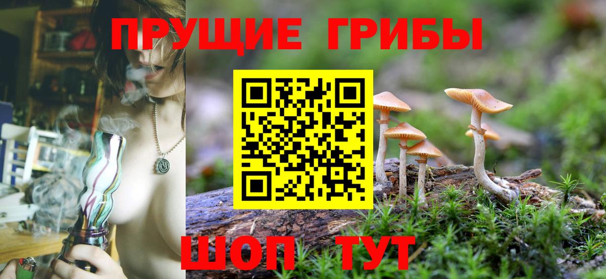 Галлюциногенные грибы GOLDEN TEACHER Ивантеевка